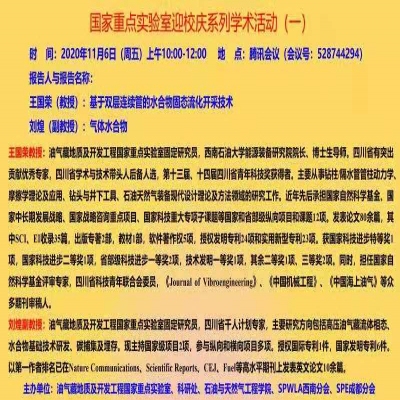 SPWLA西南分会报告-基于双层连续管的水合物固态流化开采技术